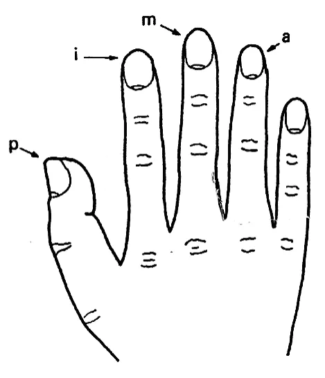 Aula Primeiros Acordes