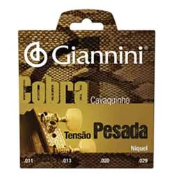 Aula Primeiros Acordes